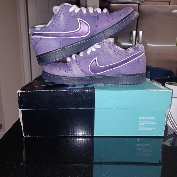 purple sb lobster